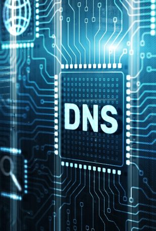 Spotlight: Neues DNS-Verlauf Feature