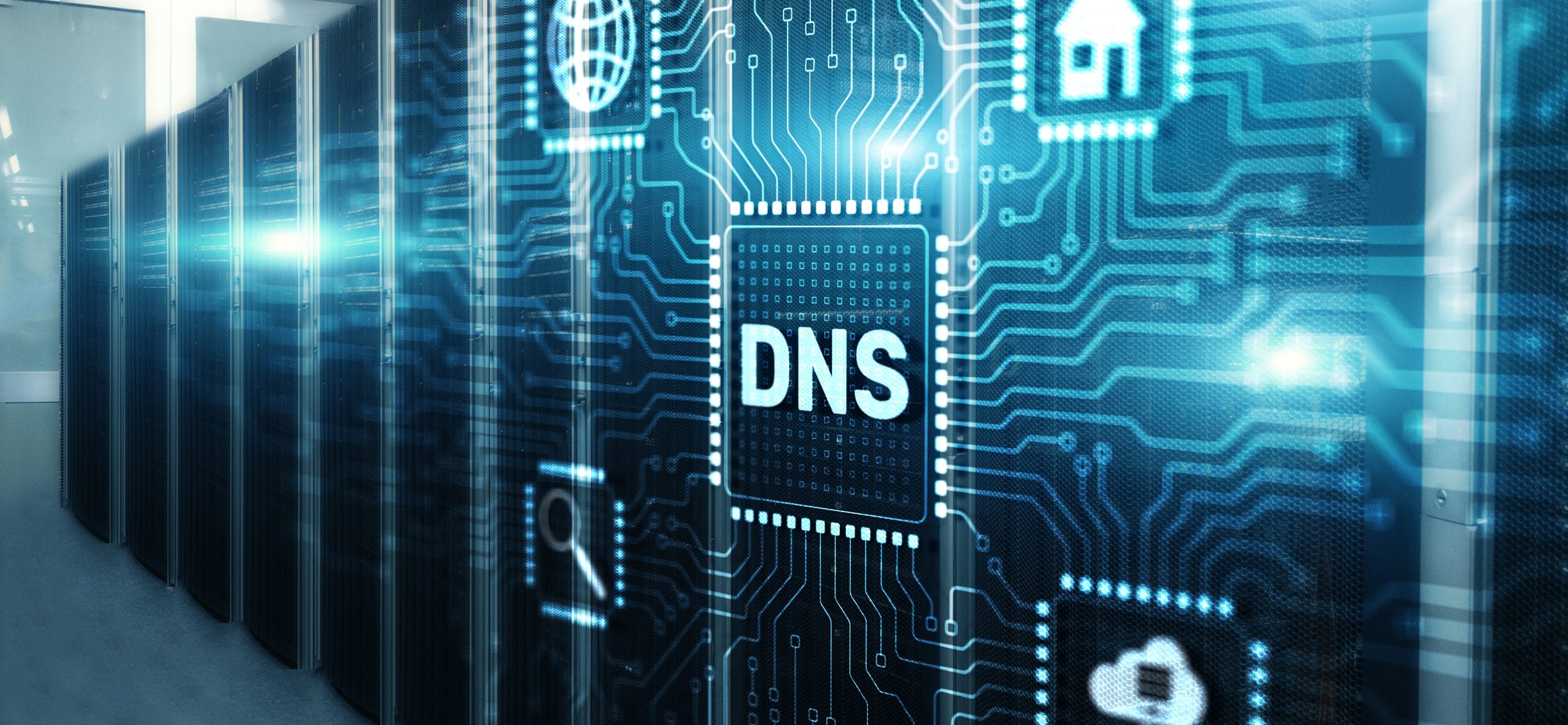 Spotlight: Neues DNS-Verlauf Feature