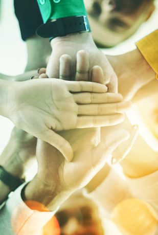S’ouvrir à l’avenir : SafeBrands devient BrandShelter